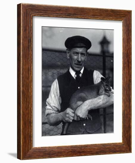 A Keeper Holds a Wallaby, October 1920-Frederick William Bond-Framed Photographic Print