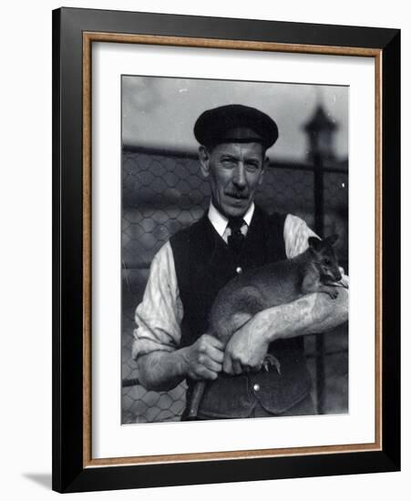 A Keeper Holds a Wallaby, October 1920-Frederick William Bond-Framed Photographic Print