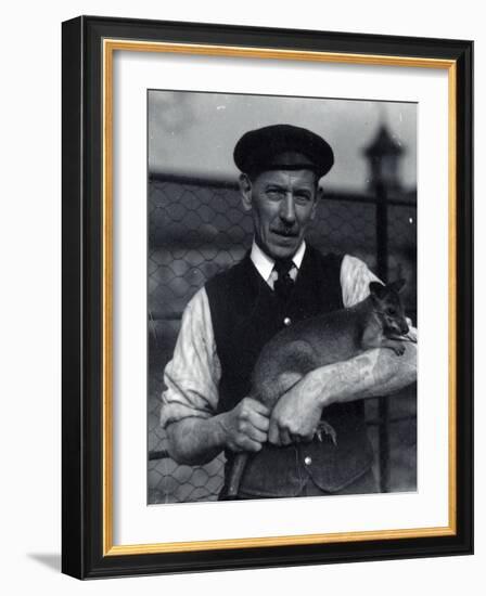 A Keeper Holds a Wallaby, October 1920-Frederick William Bond-Framed Photographic Print