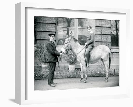 A Keeper Leads an Ass, Which Is Being Ridden by a Boy, London Zoo, June 1913-Frederick William Bond-Framed Photographic Print