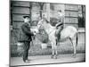 A Keeper Leads an Ass, Which Is Being Ridden by a Boy, London Zoo, June 1913-Frederick William Bond-Mounted Photographic Print