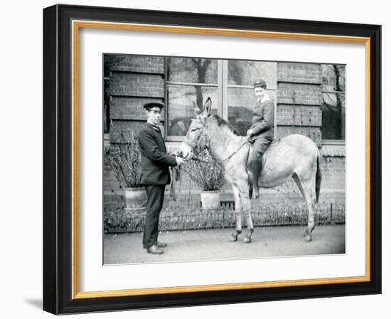 A Keeper Leads an Ass, Which Is Being Ridden by a Boy, London Zoo, June 1913-Frederick William Bond-Framed Photographic Print