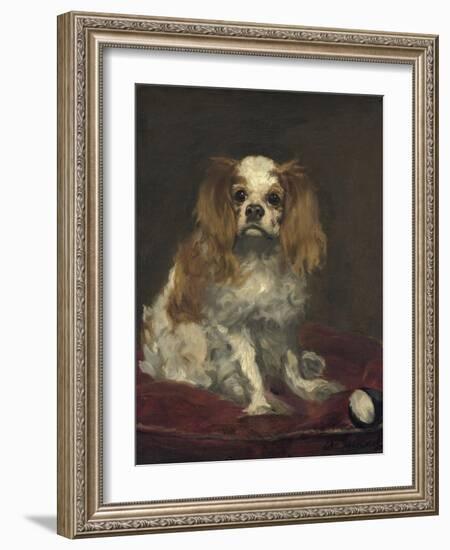 A King Charles Spaniel, 1866-Edouard Manet-Framed Art Print