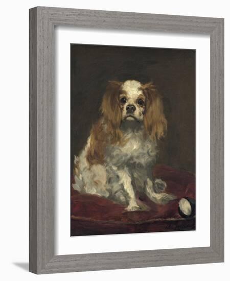 A King Charles Spaniel, 1866-Edouard Manet-Framed Art Print