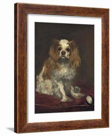 A King Charles Spaniel, 1866-Edouard Manet-Framed Art Print