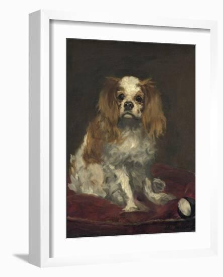 A King Charles Spaniel, 1866-Edouard Manet-Framed Art Print