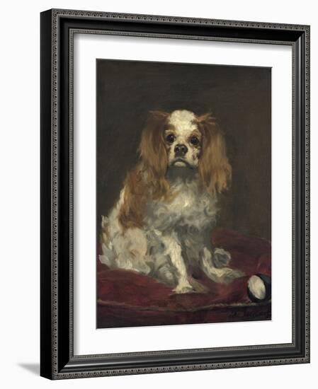 A King Charles Spaniel, 1866-Edouard Manet-Framed Art Print