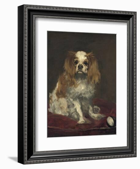 A King Charles Spaniel, 1866-Edouard Manet-Framed Premium Giclee Print