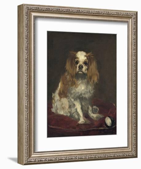 A King Charles Spaniel, by Edouard Manet, 1866, French painting,-Edouard Manet-Framed Art Print