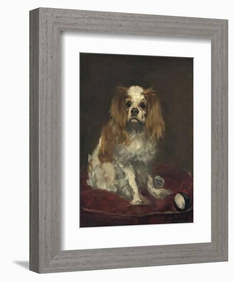 A King Charles Spaniel, by Edouard Manet, 1866, French painting,-Edouard Manet-Framed Art Print