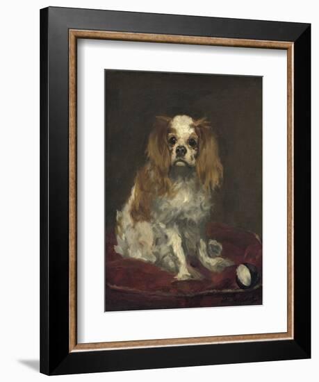 A King Charles Spaniel, by Edouard Manet, 1866, French painting,-Edouard Manet-Framed Art Print