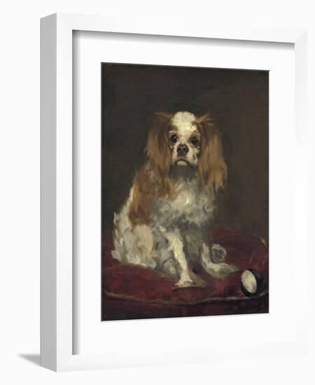 A King Charles Spaniel, by Edouard Manet, 1866, French painting,-Edouard Manet-Framed Art Print