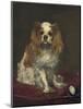 A King Charles Spaniel, by Edouard Manet, 1866, French painting,-Edouard Manet-Mounted Art Print