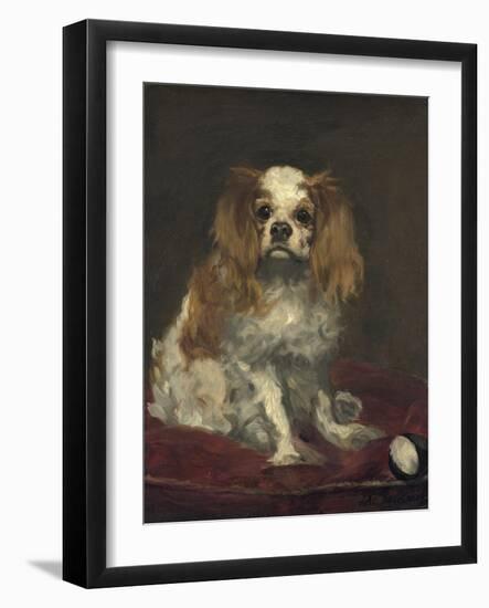 A King Charles Spaniel, c.1866-Edouard Manet-Framed Giclee Print