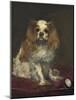 A King Charles Spaniel, c.1866-Edouard Manet-Mounted Giclee Print