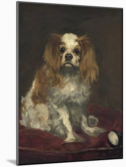 A King Charles Spaniel, c.1866-Edouard Manet-Mounted Giclee Print