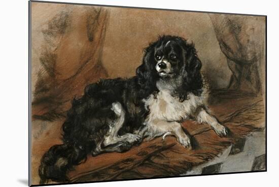 A King Charles Spaniel-Edwin Henry Landseer-Mounted Giclee Print