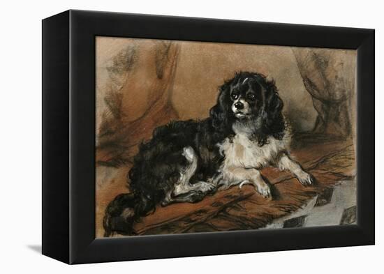 A King Charles Spaniel-Edwin Henry Landseer-Framed Premier Image Canvas