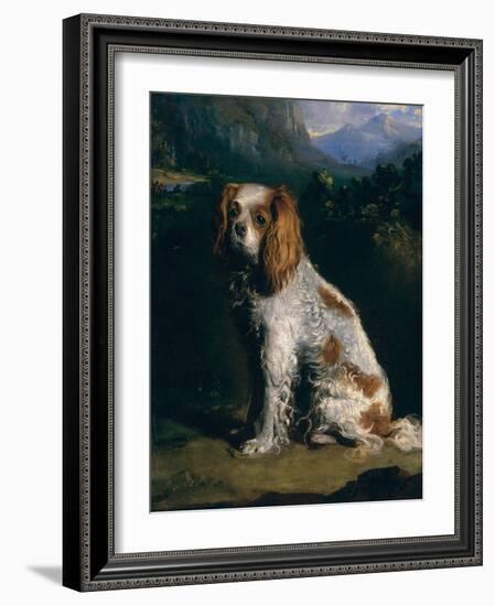 A King Charles Spaniel-Philip Reinagle-Framed Giclee Print