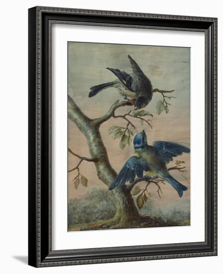 A Kingfisher on a Sapling; and a Blue Tit with a Finch on a Sapling-Christoph Ludwig Agricola-Framed Giclee Print