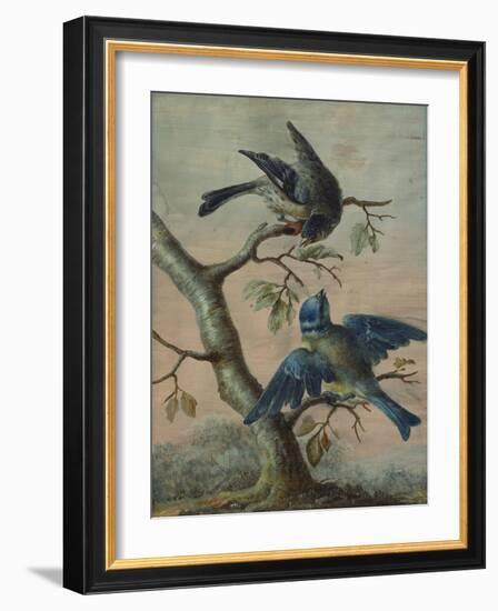 A Kingfisher on a Sapling; and a Blue Tit with a Finch on a Sapling-Christoph Ludwig Agricola-Framed Giclee Print