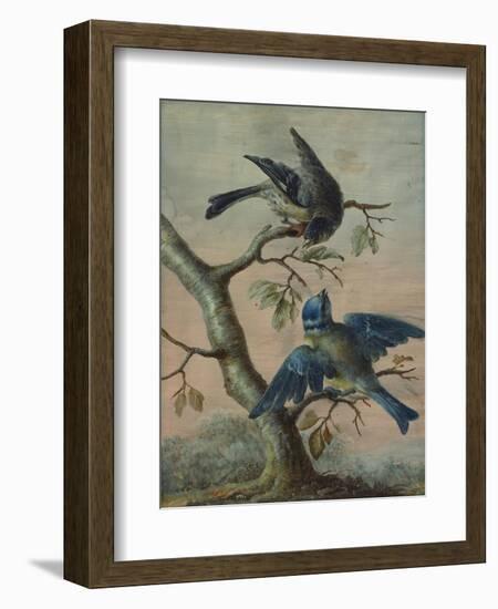 A Kingfisher on a Sapling; and a Blue Tit with a Finch on a Sapling-Christoph Ludwig Agricola-Framed Giclee Print