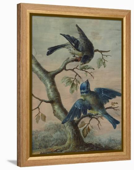 A Kingfisher on a Sapling; and a Blue Tit with a Finch on a Sapling-Christoph Ludwig Agricola-Framed Premier Image Canvas