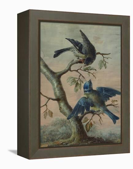 A Kingfisher on a Sapling; and a Blue Tit with a Finch on a Sapling-Christoph Ludwig Agricola-Framed Premier Image Canvas