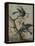 A Kingfisher on a Sapling; and a Blue Tit with a Finch on a Sapling-Christoph Ludwig Agricola-Framed Premier Image Canvas