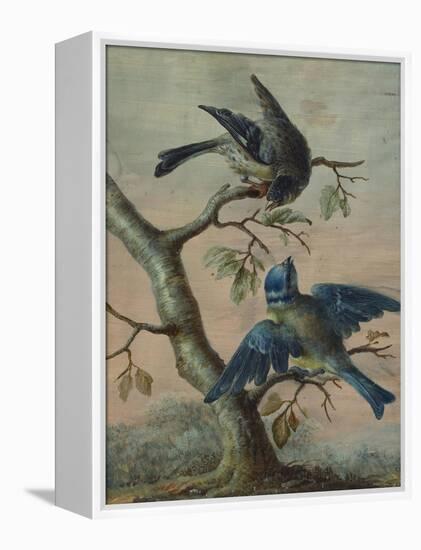 A Kingfisher on a Sapling; and a Blue Tit with a Finch on a Sapling-Christoph Ludwig Agricola-Framed Premier Image Canvas