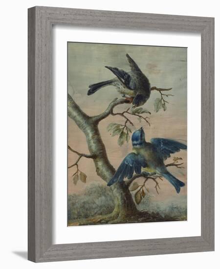 A Kingfisher on a Sapling; and a Blue Tit with a Finch on a Sapling-Christoph Ludwig Agricola-Framed Giclee Print