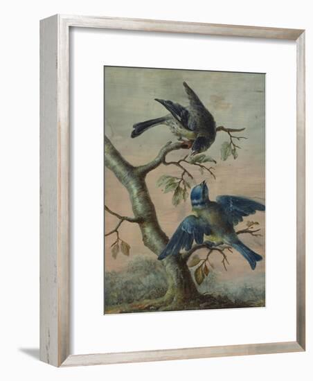 A Kingfisher on a Sapling; and a Blue Tit with a Finch on a Sapling-Christoph Ludwig Agricola-Framed Giclee Print