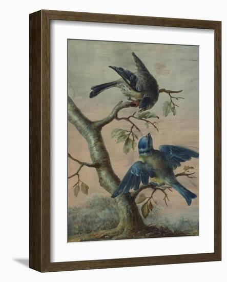 A Kingfisher on a Sapling; and a Blue Tit with a Finch on a Sapling-Christoph Ludwig Agricola-Framed Giclee Print