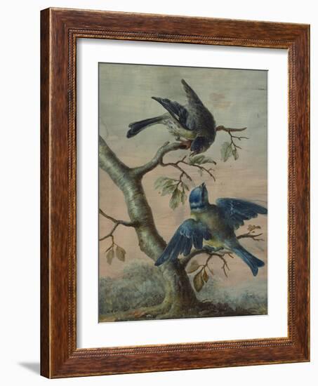 A Kingfisher on a Sapling; and a Blue Tit with a Finch on a Sapling-Christoph Ludwig Agricola-Framed Giclee Print