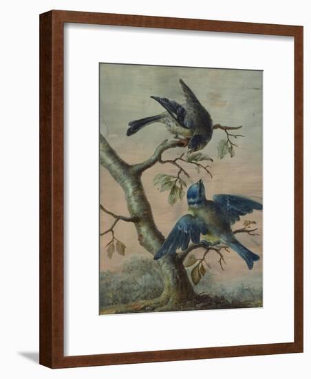 A Kingfisher on a Sapling; and a Blue Tit with a Finch on a Sapling-Christoph Ludwig Agricola-Framed Giclee Print