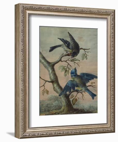 A Kingfisher on a Sapling; and a Blue Tit with a Finch on a Sapling-Christoph Ludwig Agricola-Framed Giclee Print