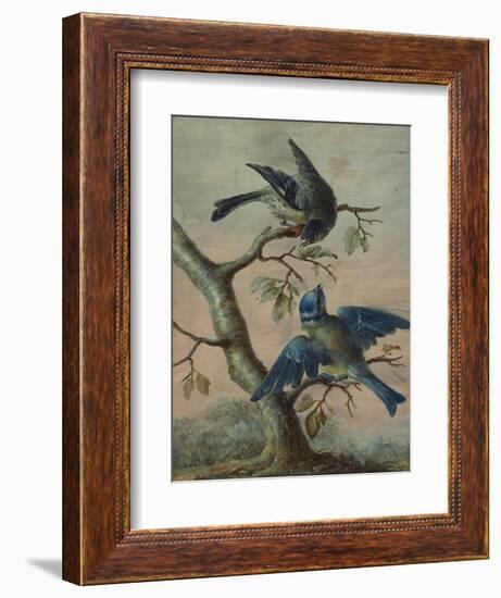 A Kingfisher on a Sapling; and a Blue Tit with a Finch on a Sapling-Christoph Ludwig Agricola-Framed Giclee Print