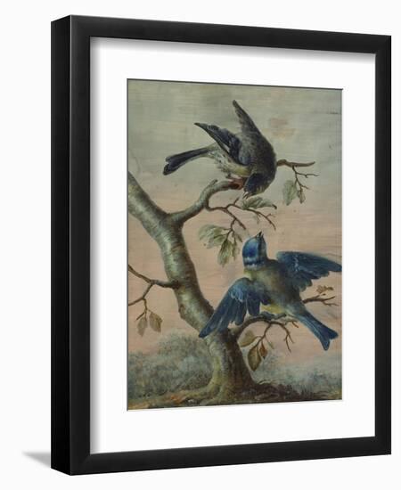 A Kingfisher on a Sapling; and a Blue Tit with a Finch on a Sapling-Christoph Ludwig Agricola-Framed Giclee Print