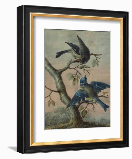 A Kingfisher on a Sapling; and a Blue Tit with a Finch on a Sapling-Christoph Ludwig Agricola-Framed Giclee Print