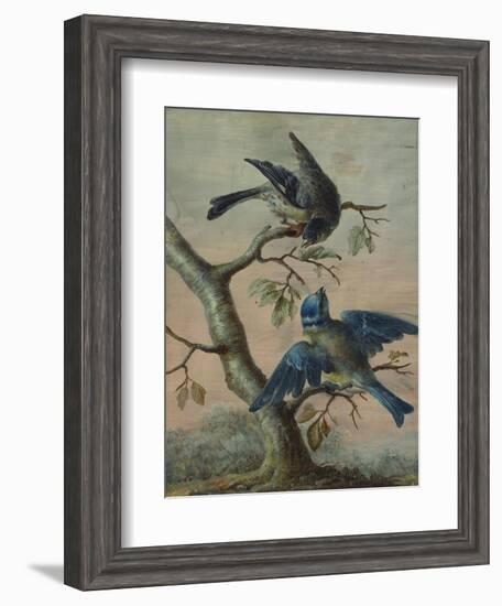 A Kingfisher on a Sapling; and a Blue Tit with a Finch on a Sapling-Christoph Ludwig Agricola-Framed Premium Giclee Print