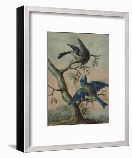 A Kingfisher on a Sapling; and a Blue Tit with a Finch on a Sapling-Christoph Ludwig Agricola-Framed Premium Giclee Print