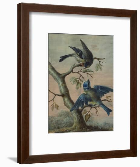 A Kingfisher on a Sapling; and a Blue Tit with a Finch on a Sapling-Christoph Ludwig Agricola-Framed Premium Giclee Print