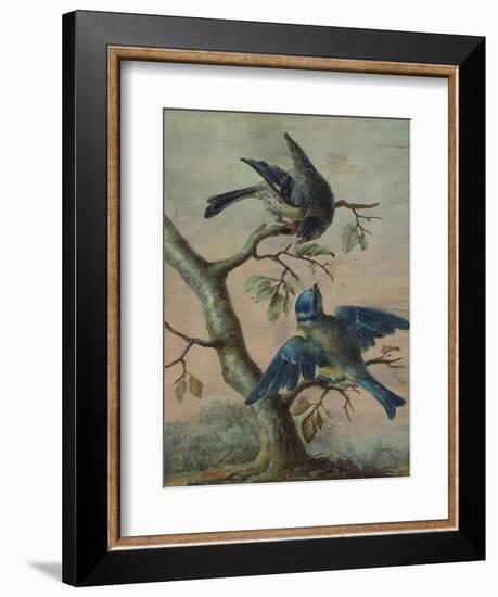 A Kingfisher on a Sapling; and a Blue Tit with a Finch on a Sapling-Christoph Ludwig Agricola-Framed Premium Giclee Print