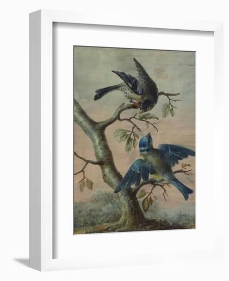 A Kingfisher on a Sapling; and a Blue Tit with a Finch on a Sapling-Christoph Ludwig Agricola-Framed Premium Giclee Print