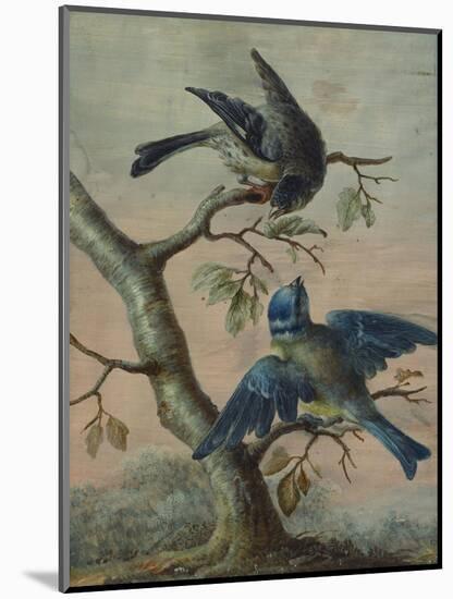 A Kingfisher on a Sapling; and a Blue Tit with a Finch on a Sapling-Christoph Ludwig Agricola-Mounted Premium Giclee Print