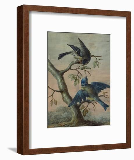 A Kingfisher on a Sapling; and a Blue Tit with a Finch on a Sapling-Christoph Ludwig Agricola-Framed Premium Giclee Print