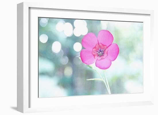 A Kiss of Light-Jacob Berghoef-Framed Photographic Print