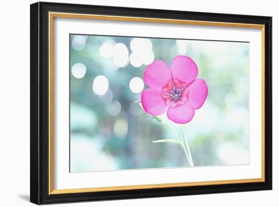 A Kiss of Light-Jacob Berghoef-Framed Photographic Print
