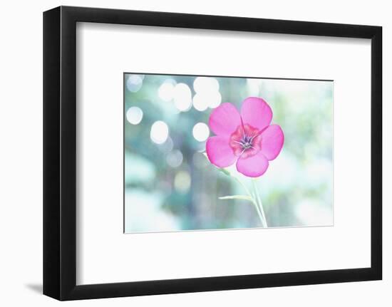 A Kiss of Light-Jacob Berghoef-Framed Photographic Print