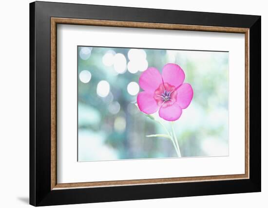 A Kiss of Light-Jacob Berghoef-Framed Photographic Print